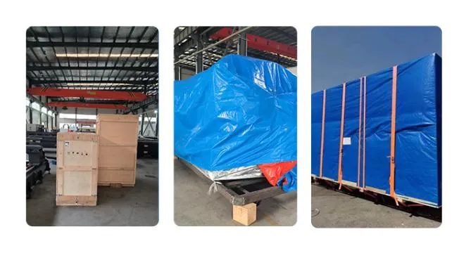 1000W-6000W Einzeltischlaserschneider für den internationalen Vertrieb 4
